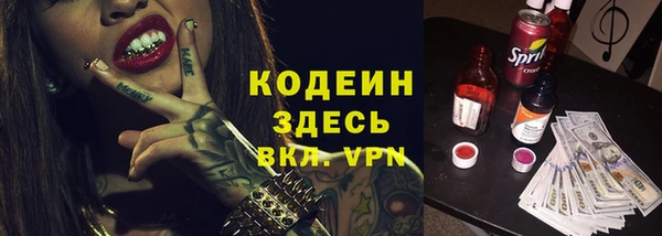индика Балабаново