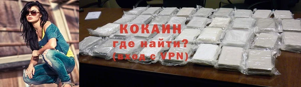 индика Балабаново