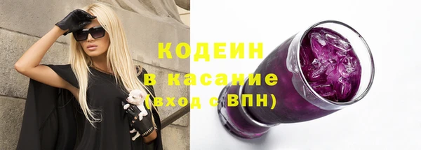 индика Балабаново