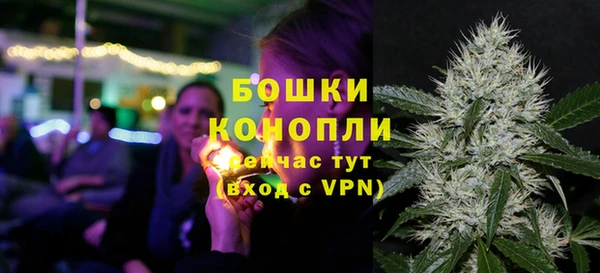 индика Балабаново