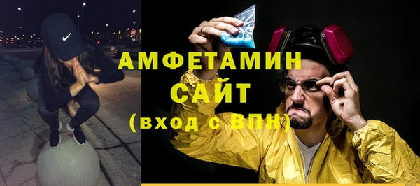 индика Балабаново