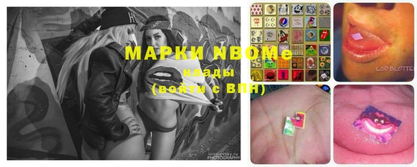 индика Балабаново