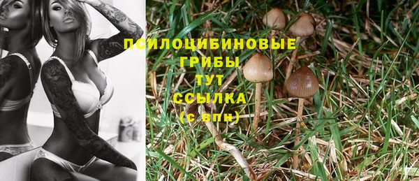 индика Балабаново