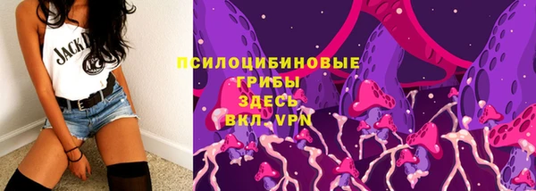 индика Балабаново